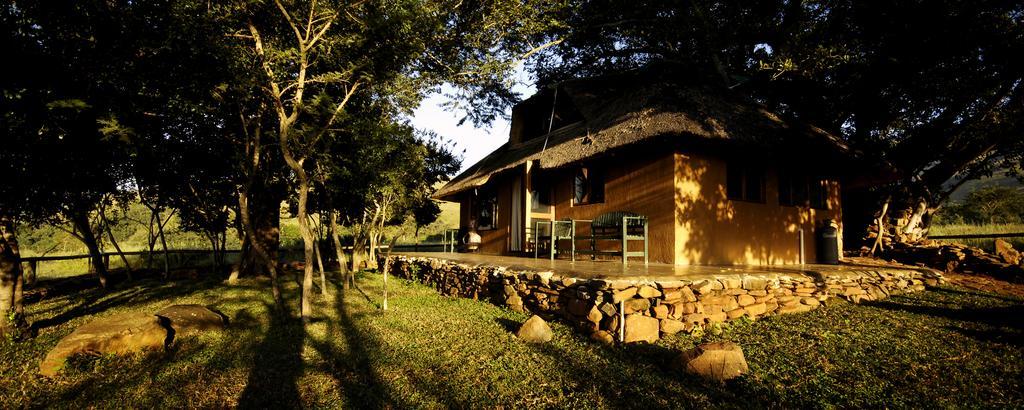 Caracal Lodge Alkmaar Cameră foto