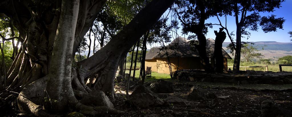 Caracal Lodge Alkmaar Cameră foto