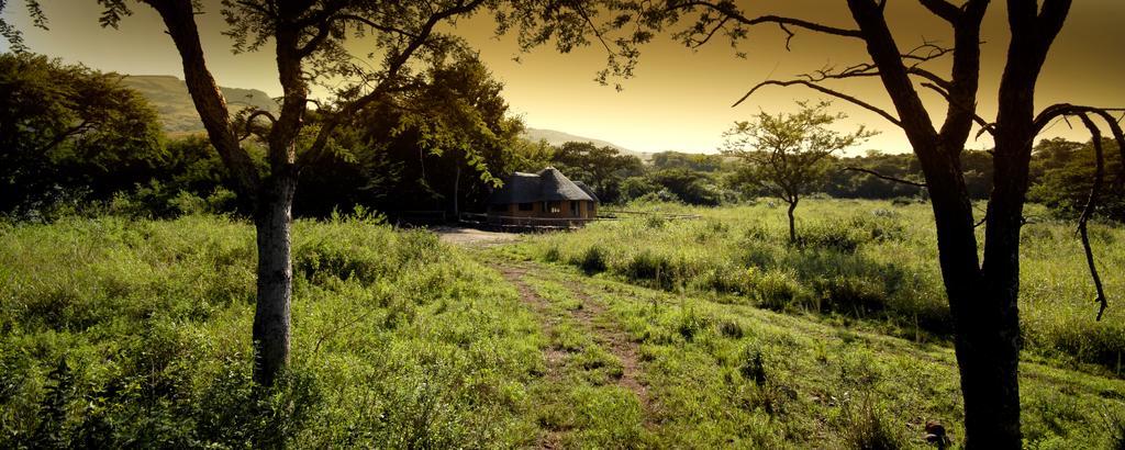 Caracal Lodge Alkmaar Cameră foto